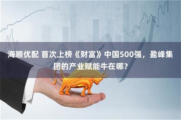 海顺优配 首次上榜《财富》中国500强，盈峰集团的产业赋能牛在哪？