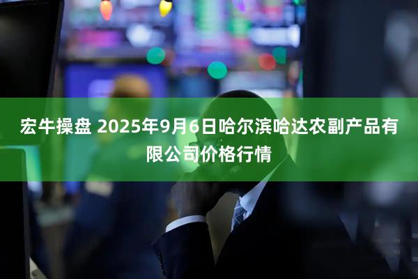 宏牛操盘 2025年9月6日哈尔滨哈达农副产品有限公司价格行情
