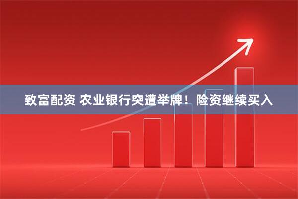致富配资 农业银行突遭举牌！险资继续买入