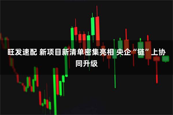 旺发速配 新项目新清单密集亮相&#32;央企“链”上协同升级