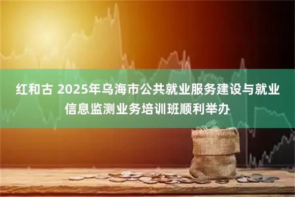 红和古 2025年乌海市公共就业服务建设与就业信息监测业务培训班顺利举办